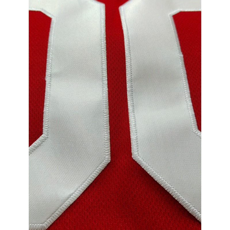 Jersey Basket Nama dan Nomor y - Embroidery Jersey ulasan dan harga